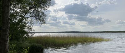 Dominice ↔ Boszkowo-Letnisko