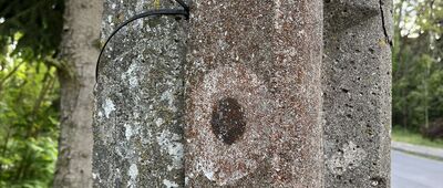 Olejnica ↔ Górsko [Początek czarnego szlaku]