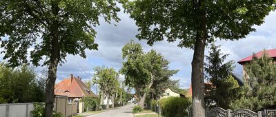 Osłonin ↔ Olejnica