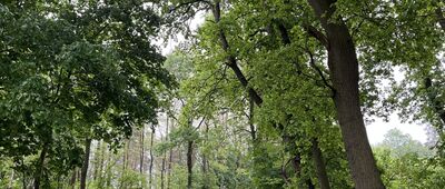 Jezioro Gorzycko ↔ Brzeźno