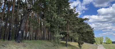 Jezioro Niedziółka ↔ Sieraków, ul. Zarzeczna