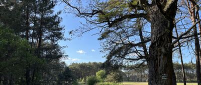 Kobus ↔ Rozejście szlaków