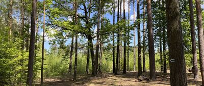 Sieraków, wiadukt ↔ Góra