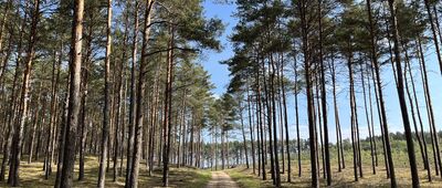 Rozejście szlaków ↔ Rozejście szlaków