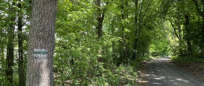 Rozejście szlaków ↔ Goraj