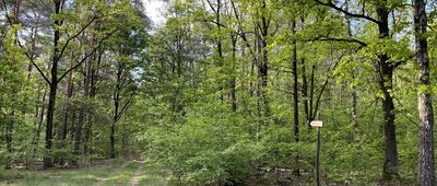 Rozejście szlaków ↔ Romanowo Dolne