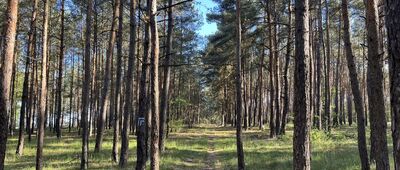 Romanowo Dolne ↔ Rozejście szlaków