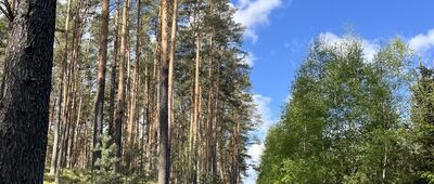 Walkowice, Dębowiec ↔ Rozejście szlaków