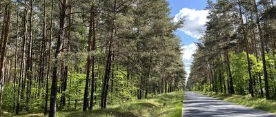 Mirosław ↔ Walkowice, Dębowiec