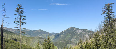 Polana Iwanówka ↔ Iwaniacka Przełęcz [Widok z żółtego szlaku w kierunku Doliny Chochołowskiej - widoczne Grześ i Bobrowiec 4.06.25]