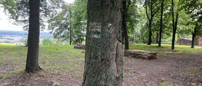Raciążek, zamek