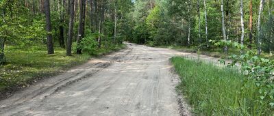 Ciechocinek, ul. Tadeusza Kościuszki ↔ Aleksandrów Kujawski, ul. Parkowa