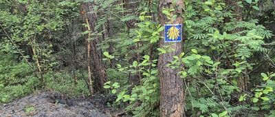 Rozejście szlaków żółty / czarny ↔ Rozejście szlaków czerwony / czarny