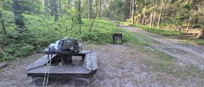 Rozejście szlaków żółty / czarny