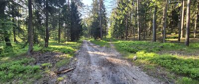 Rozejście szlaków czerwony / czarny