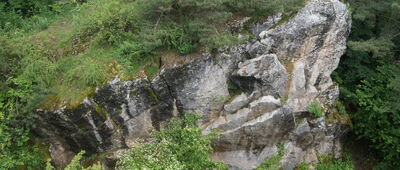 Rezerwat Góra Zelejowa ↔ Pod Zelejową