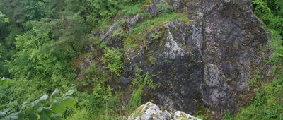 Rezerwat Góra Zelejowa