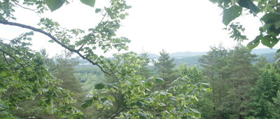 Rezerwat Góra Zelejowa