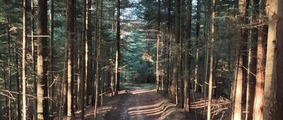 Pławna ↔ Zagórze