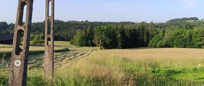 Zagórze [Rosa taka że nawet kąpielówki by się przydały]