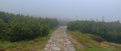 Ruiny schroniska im. Księcia Henryka