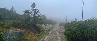 Kocioł Wielkiego Stawu ↔ Ruiny schroniska im. Księcia Henryka