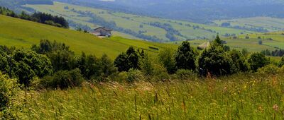 Rozejście szlaków ↔ Bałucianka, cerkiew