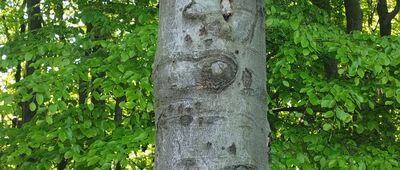 Hrobacza Łąka ↔ Rozejście szlaków [Hrobacza ❤️]