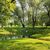 park przy pomniku