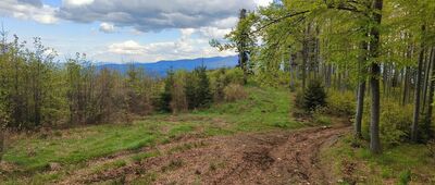 Pod Jałowcem ↔ Zawoja, Wełcza