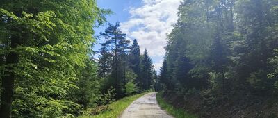 Pod Maguryczem Dużym