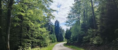 Banica ↔ Pod Maguryczem Dużym