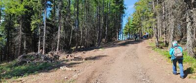 Dzikowiec Wielki ↔ Pod Dzikowcem