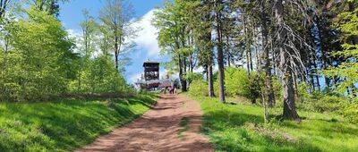 Pod Dzikowcem ↔ Dzikowiec, kolej linowa
