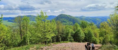 Pod Dzikowcem ↔ Dzikowiec, kolej linowa