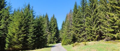 Jelenka, rozc. ↔ Pod Jelenkou