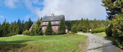Jelenka, rozc.