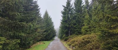 Sowia Przełęcz, odejście szlaku niebieskiego ↔ Nad Pomezními Boudami