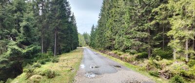 Rozdroże pod Cichą Równią ↔ Rozdroże pod Izerskimi Garbami