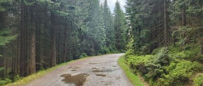 Rozdroże pod Cichą Równią ↔ Jakuszyce