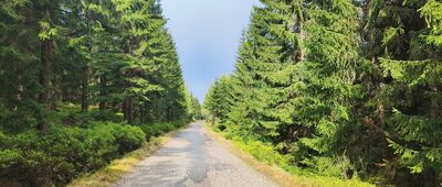 Rozdroże pod Cichą Równią ↔ Jakuszyce