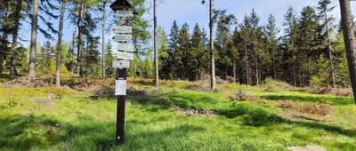 Hvězda, parkoviště