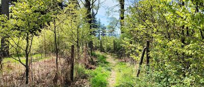 Hvězda, parkoviště