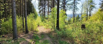 Hlavňov ↔ Hvězda, parkoviště