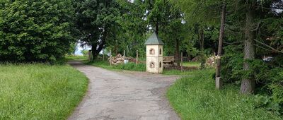 Bukowina Kłodzka, rozwidlenie ↔ Bukowina Kłodzka