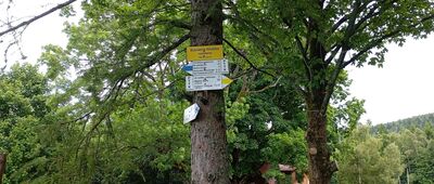 Bukowina Kłodzka, rozwidlenie