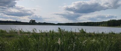 Skuły, ul. Świerkowa Polana ↔ Grzegorzewice