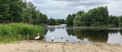 Wrocław ↔ Park Leśnicki