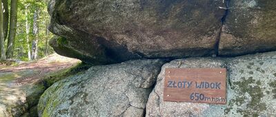 Potok Rudnik ↔ Michałowice, Złoty Widok