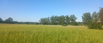 Laskowice ↔ Osłowo